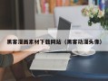 沈丘黑客漫画素材下载网站（黑客动漫头像）
