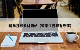 沈丘留学视频素材网站（留学生视频有导演）