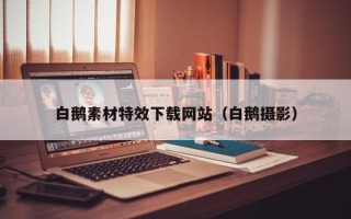 沈丘白鹅素材特效下载网站（白鹅摄影）